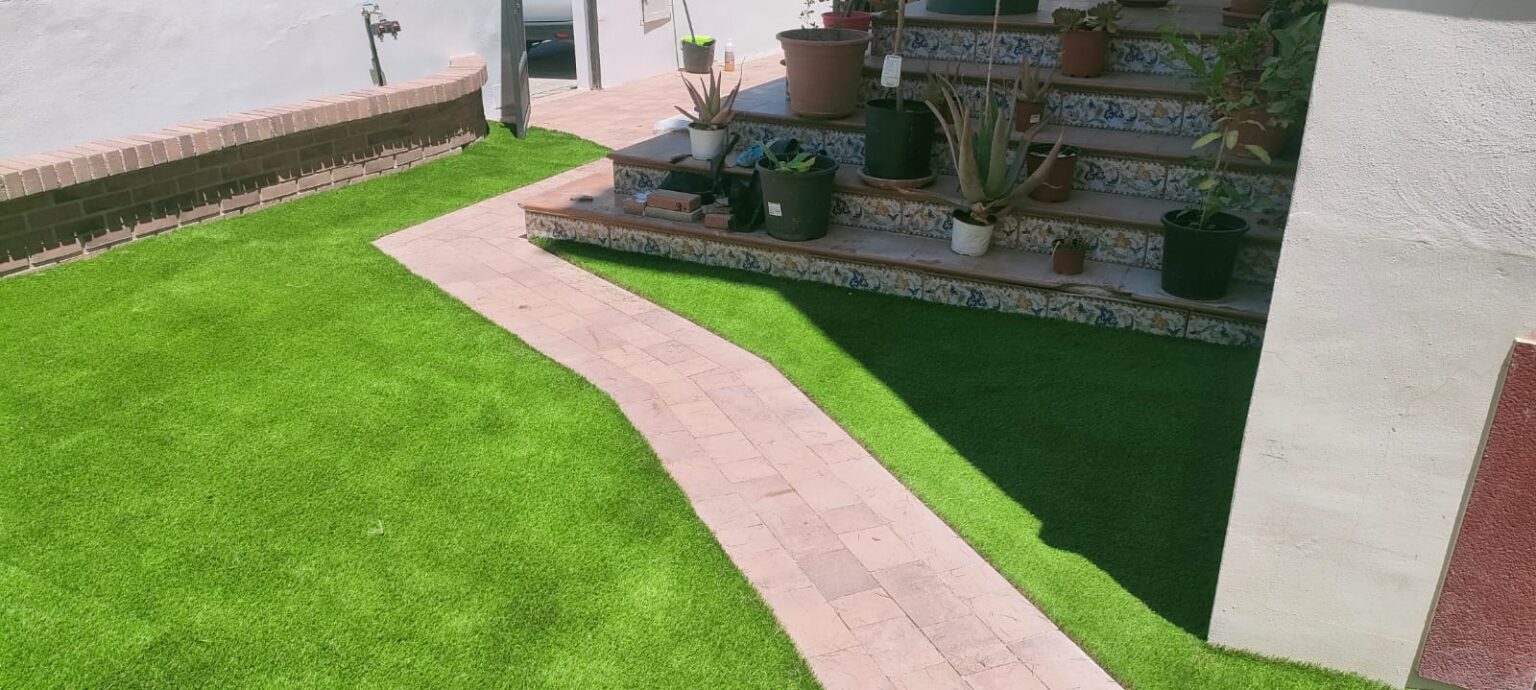 Allon Jardinería diagnóstico de enfermedades en plantas y árboles de jardín en Moraira