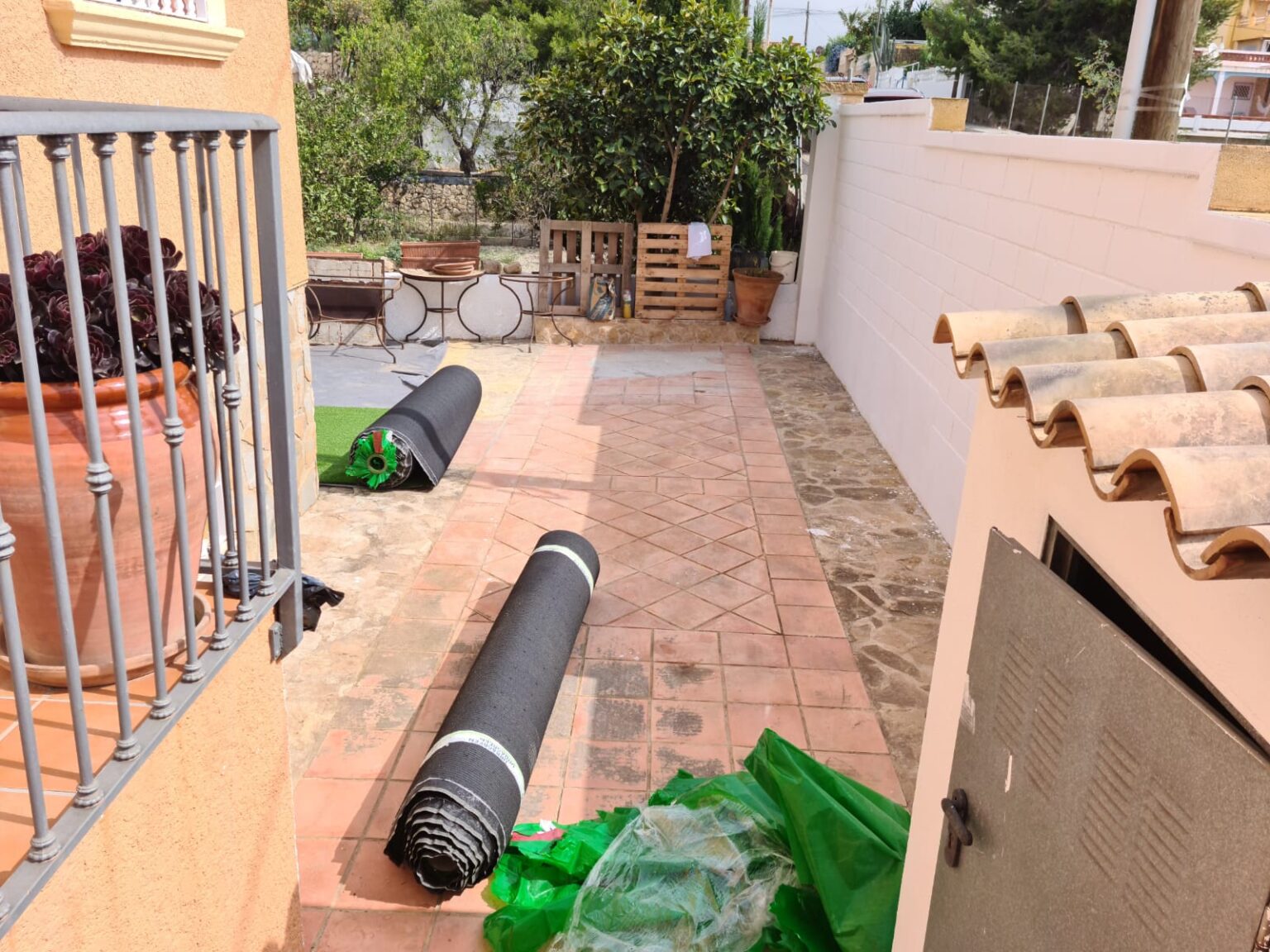 Tratamiento contra el picudo rojo en palmeras de Moraira Allon Jardinería