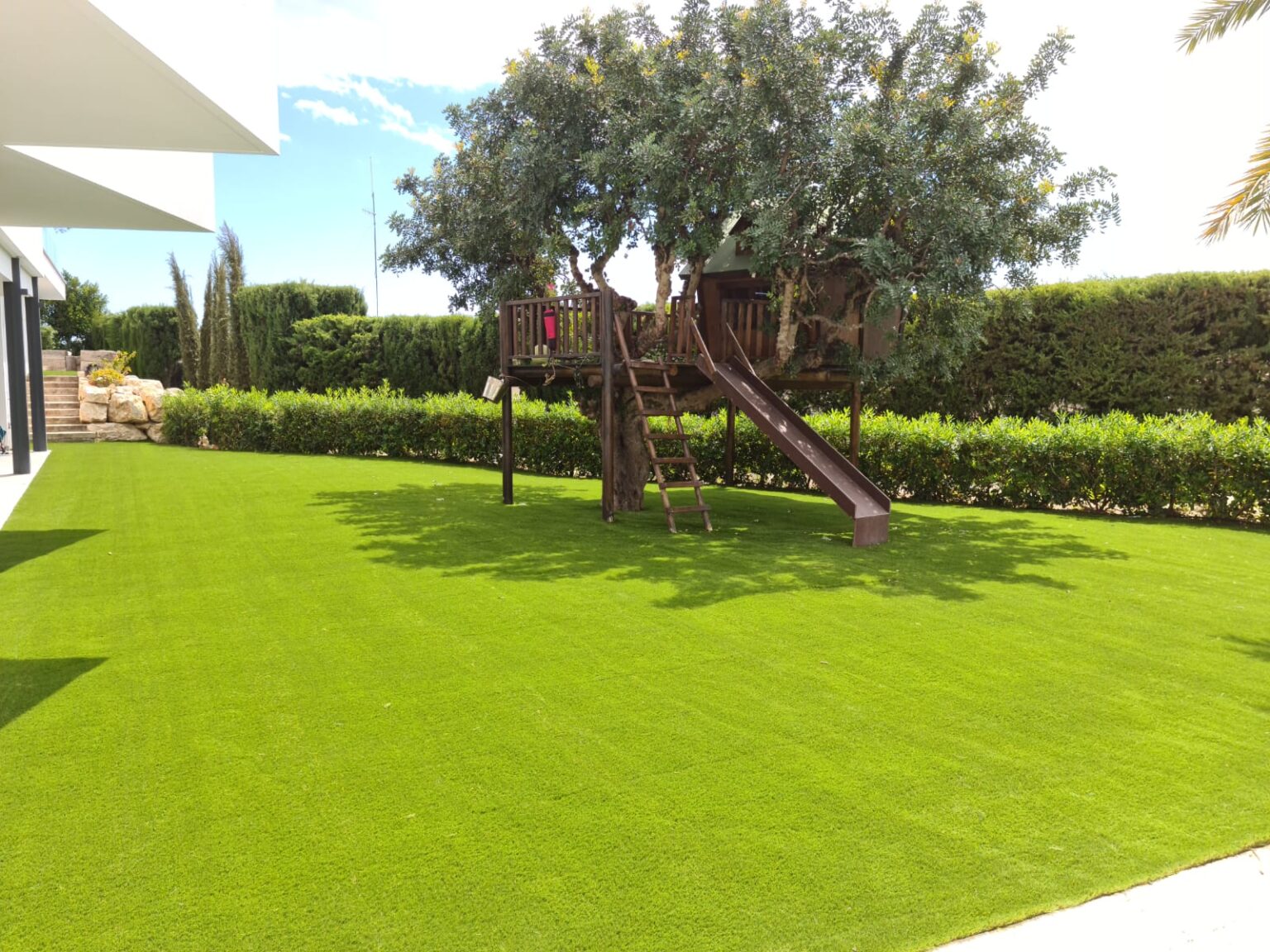 Tratamientos fitosanitarios eficaces para palmeras y pinos en Moraira Allon Jardinería