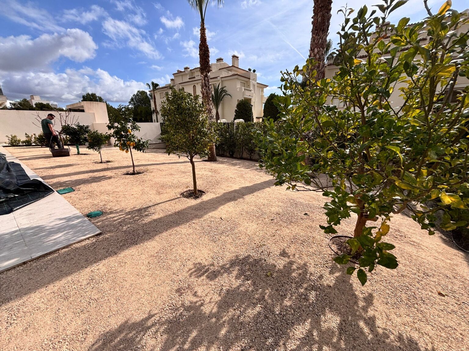 Recuperación de jardines abandonados y sistemas de riego en Moraira Allon Jardinería