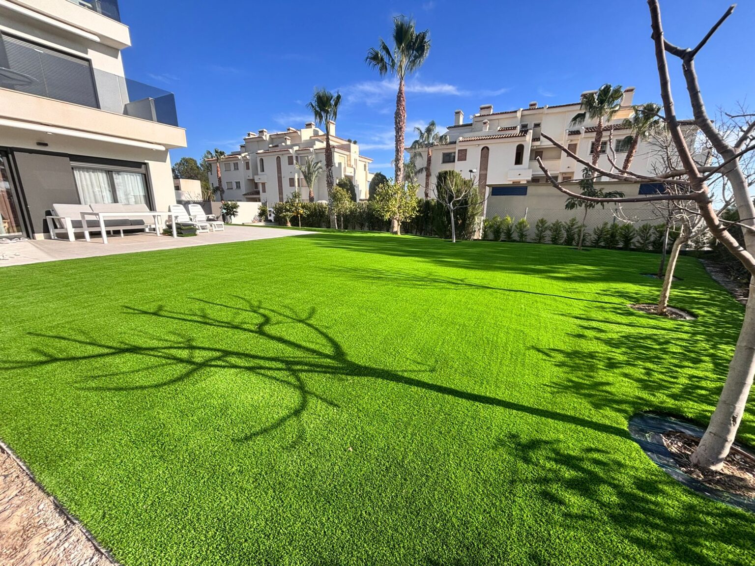 Fumigación y control de plagas en plantas de exterior en Moraira Allon Jardinería