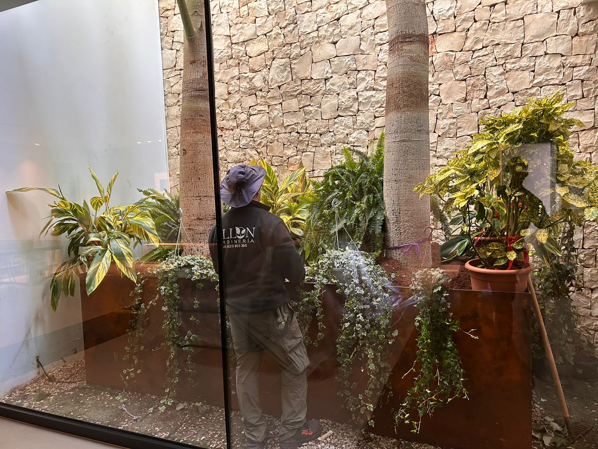 Allon Jardinería servicio de control de plagas y enfermedades en árboles y plantas en Moraira